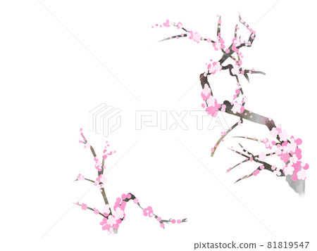 梅花 81819547