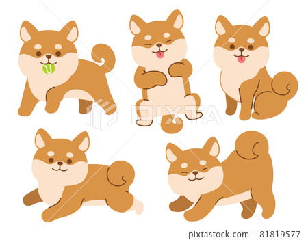 Companion animal Companion animal 81819577