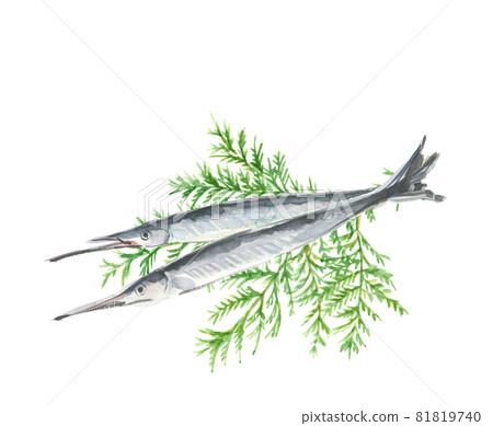 袋子上的兩個半喙 [手繪水彩] 白色背景 可複制空間 81819740