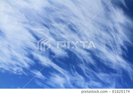 Dynamic cirrus clouds (streak clouds) that appeared in the early autumn sky Dynamic cirrus clouds (streak clouds) that appeared in the early autumn sky 81820174