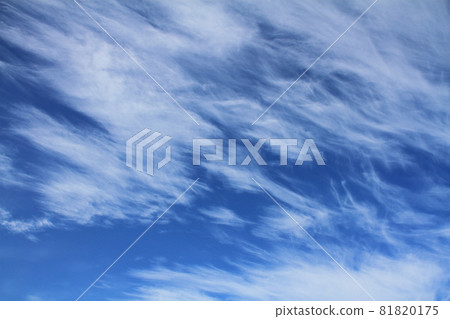 Dynamic cirrus clouds (streak clouds) that appeared in the early autumn sky 81820175