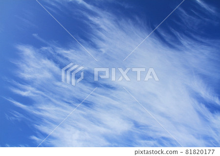Dynamic cirrus clouds (streak clouds) that appeared in the early autumn sky Dynamic cirrus clouds (streak clouds) that appeared in the early autumn sky 81820177