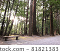 Road with a bench 81821383