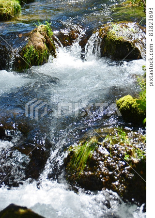 三泉水清澈的溪流 81821693