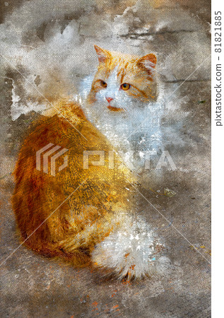 Beautiful cat sitting on gray concrete. Red and white cat with a big fluffy tail turns back. Pets. Digital watercolor painting 81821885