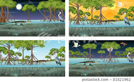 Different mangrove forest landscape scenes with animals Different mangrove forest landscape scenes with animals 81821962