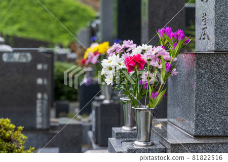 下雨天有花的墳墓 81822516