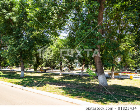 travel to Kuban region of Russia - green garden on boulevard on Lenina street in Akhtyrskiy urban-type settlement in Abinsky District in Kuban region of Krasnodar Krai of Russia 81823434