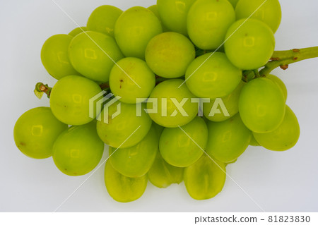 Shine Muscat from Yamanashi Prefecture Shine Muscat from Yamanashi Prefecture 81823830