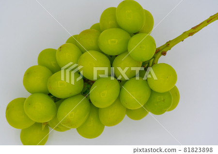 來自山梨縣的閃耀馬斯喀特 81823898