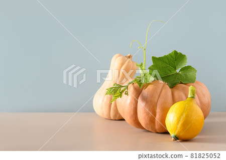 Organic pumpkins on beige background. Autumn harvest for Thanksgiving Day or Halloween Party. Organic pumpkins on beige background. Autumn harvest for Thanksgiving Day or Halloween Party. 81825052