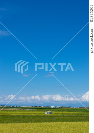 The rural scenery of Konan in autumn 81825202
