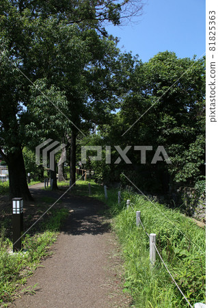 奈良市柏原市今井町 81825363