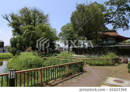 奈良市柏原市今井町 奈良市柏原市今井町 81825366