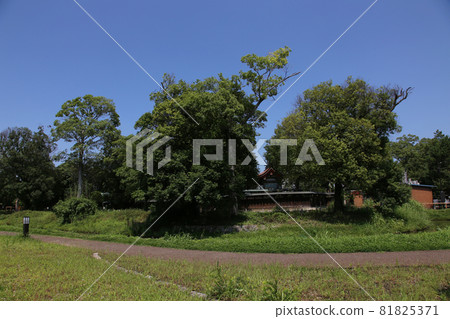 奈良市柏原市今井町 81825371