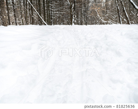 footprints and ski tracks at snowfield in city park in winter day footprints and ski tracks at snowfield in city park in winter day 81825636