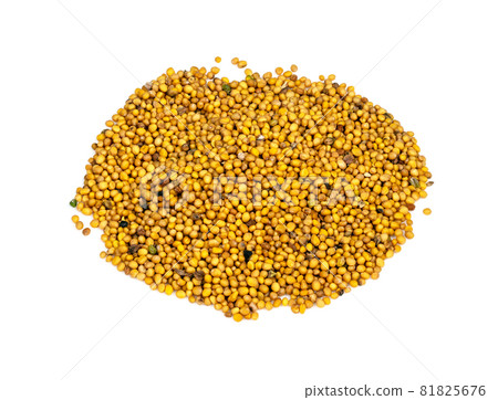 pile of yellow seeds of White Mustard (Sinapis Alba) closeup on white background pile of yellow seeds of White Mustard (Sinapis Alba) closeup on white background 81825676