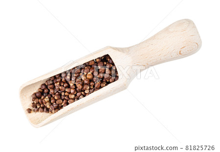 top view of grains of paradise pepper in wood scoop cutout on white background 81825726