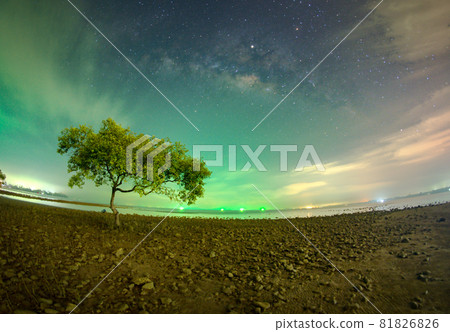 One tree at Chumphon beach, Chumphon province. The movement of clouds and the Milky Way. The mangrove area receives green light from fishing boats. One tree at Chumphon beach, Chumphon province. The movement of clouds and the Milky Way. The mangrove area receives green light from fishing boats. 81826826