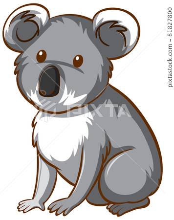 Koala bear animal cartoon on white background Koala bear animal cartoon on white background 81827800