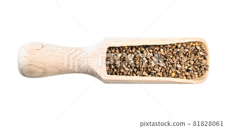 top view of unhulled barnyard millet seeds in wood scoop cutout on white background 81828061