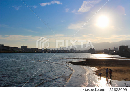 在夏日的日落 81828699