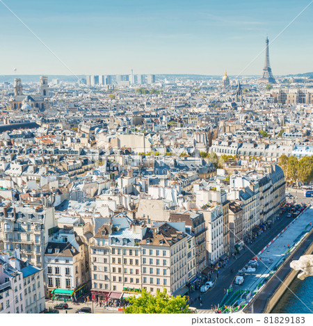 Paris cityscape with Eilffel tower Paris cityscape with Eilffel tower 81829183