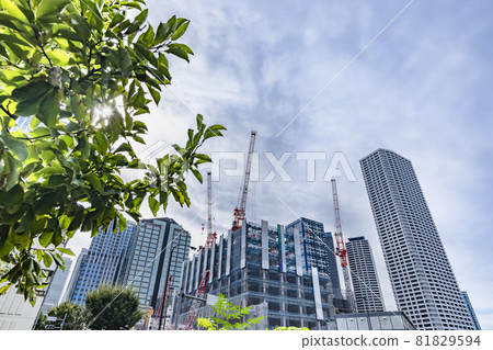 Buildings in Tokyo with beautiful sunlight Buildings in Tokyo with beautiful sunlight 81829594