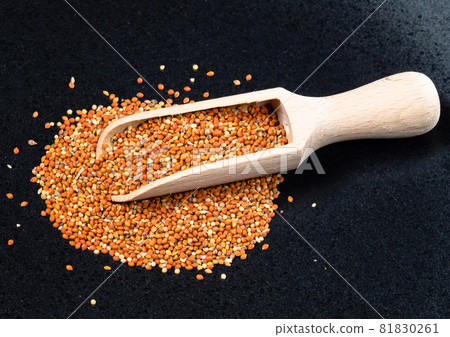 wooden scoop on pile of chumiza siberian millet seeds on black plate wooden scoop on pile of chumiza siberian millet seeds on black plate 81830261