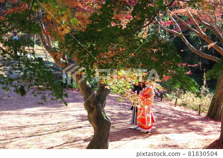 Wedding ceremony under the autumn leaves Kairakuen Autumn leaves valley 81830504