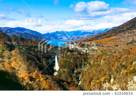 櫪木縣日光市明平天文台的秋葉 81830658