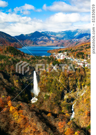 櫪木縣日光市明平天文台的秋葉 81830659