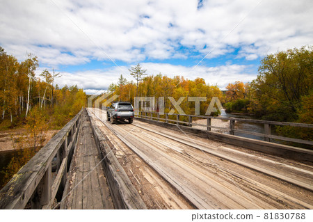 Mitsubishi Pajero Sport on wooden bridge in taiga 81830788