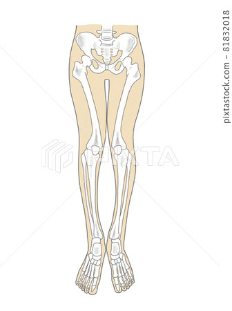 Lower body skeletal distortion Lower body skeletal distortion 81832018
