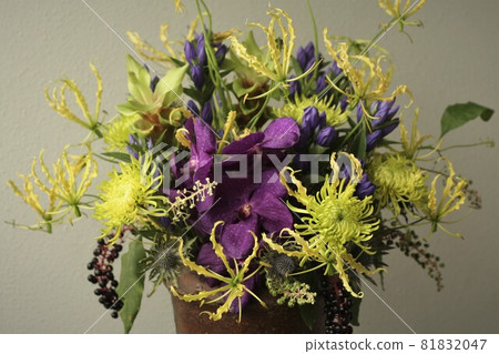 Lutea Blue Lutea Blue 81832047