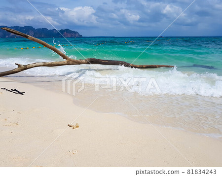 Paradise beach with white sand and crystal clear water in an incredible wild environment Paradise beach with white sand and crystal clear water in an incredible wild environment 81834243