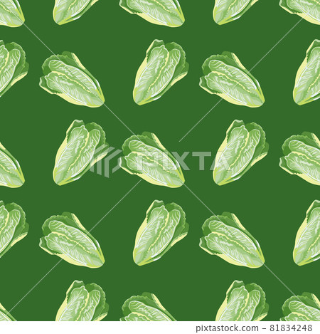Seamless pattern salad Romano on green background. Abstract ornament with lettuce. Seamless pattern salad Romano on green background. Abstract ornament with lettuce. 81834248