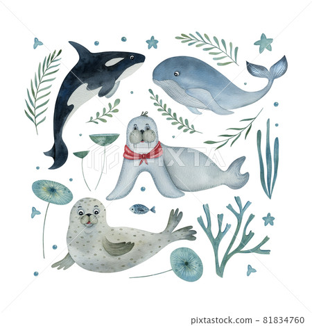 Watercolor set of sea animals on the white background. Cartoon whale, killer whale, walrus, and seal with decorative floral elements. Ideal for postcards, posters, and kids decor. 81834760