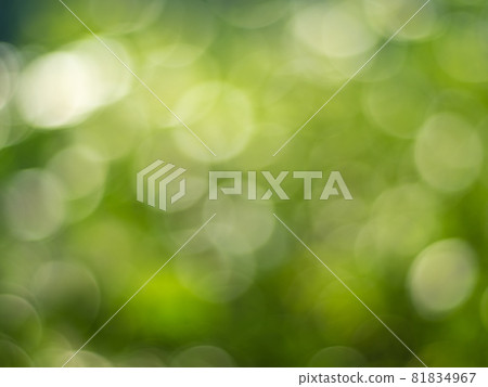 Natural outdoors bokeh background in gold sunlight with green and yellow tones, Blurred light and leaf background with bokeh Natural outdoors bokeh background in gold sunlight with green and yellow tones, Blurred light and leaf background with bokeh 81834967
