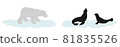 Polar bear hunting seal couple on iceberg silhouette. Sea lion on block of ice vector silhouette illustration isolated on white background. Polar animals family in danger. Cold winter environment. 81835526