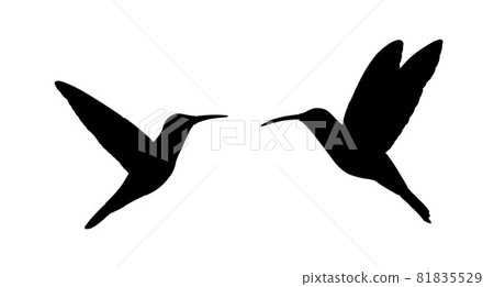 Couple in love hummingbird vector silhouette illustration isolated on white background. Tropical little bird colibri symbol. Smallest bird family. 81835529