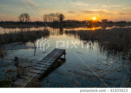 A small pier and a lake with reeds A small pier and a lake with reeds 81835623