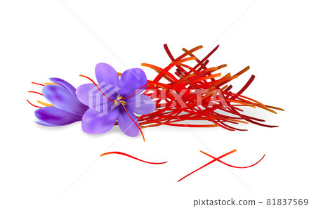 Realistic saffron pestles pile and purple crocus flowers. Dried spice threads vector illustration. Packaging design and decor 81837569