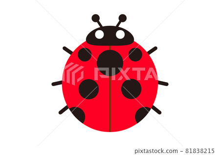Ladybug illustration 81838215