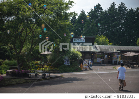 肥皂泡飛了起來 肥皂泡飛了起來 81838333