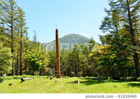 禦柱冷杉巨樹紀念碑 禦柱冷杉巨樹紀念碑 81838460