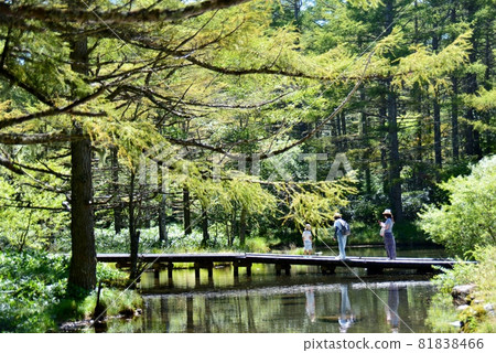 三泉水自然公園凸起的沼澤 三泉水自然公園凸起的沼澤 81838466
