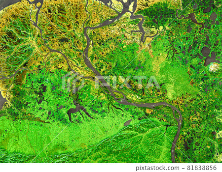 Nature pattern on satellite photo, delta of tropical river 81838856