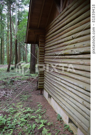 木屋森林景觀 木屋森林景觀 81839418