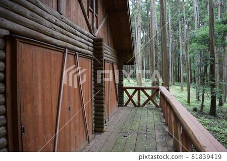 木屋森林景觀 81839419